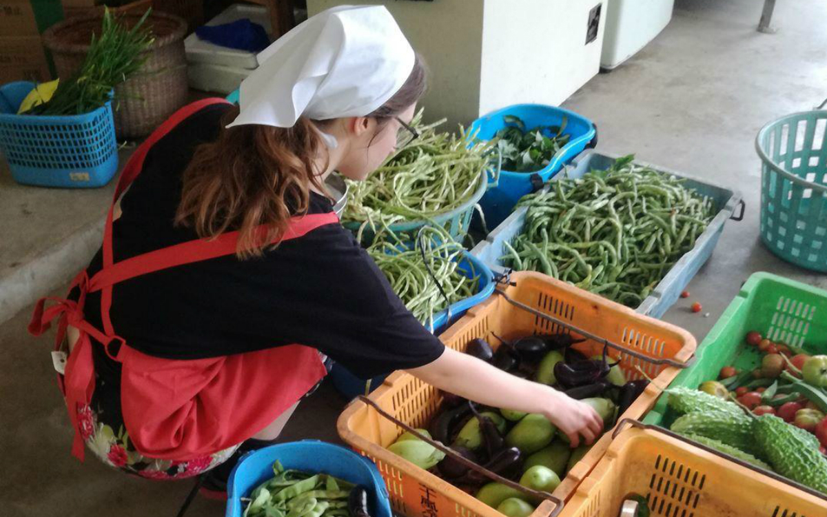 Das geerntete Obst und Gemüse wird frisch in der Küche verarbeitet. Hier wähle ich gerade Zutaten für das Mittagessen aus (Foto: EMS/Sigmund) Das geerntete Obst und Gemüse wird frisch in der Küche verarbeitet. Hier wähle ich gerade Zutaten für das Mittagessen aus (Foto: EMS/Sigmund)